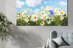 Картина на холсте интерьерная KIL Art Солнечный день на ромашковом полем 75x50 см (260-1)