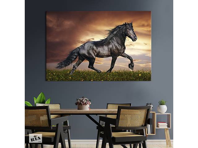 Картина на холсте интерьерная KIL Art Стройный конь 51x34 см (185-1)