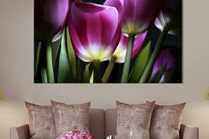 Картина на холсте интерьерная KIL Art Тёмные тюльпаны 75x50 см (221-1)