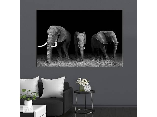 Картина на холсте интерьерная KIL Art Три слона 75x50 см (148-1)