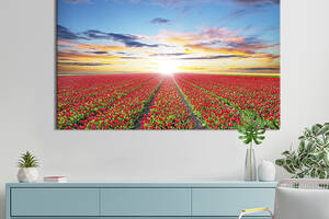 Картина на холсте интерьерная KIL Art Тюльпановое поле 122x81 см (595-1)