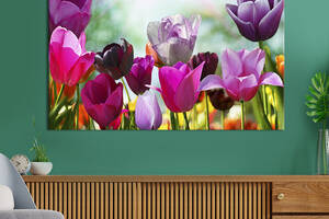 Картина на холсте интерьерная KIL Art Тюльпаны оттенков фиолетового 75x50 см (224-1)