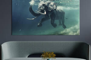 Картина на холсте интерьерная KIL Art Весёлый слон 122x81 см (155-1)
