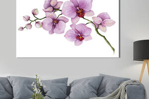 Картина на холсте интерьерная KIL Art Ветка сиреневой орхидеи 75x50 см (253-1)