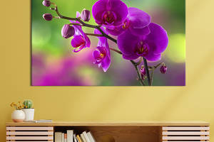 Картина на холсте интерьерная KIL Art Яркая орхидея 122x81 см (238-1)