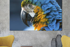 Картина на холсте интерьерная KIL Art Яркий попугай ара 75x50 см (157-1)