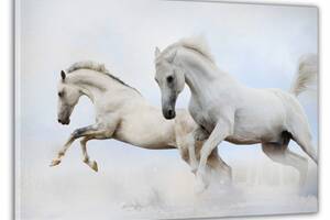 Картина на стену в гостиную/спальню Декор Карпаты 'Белые кони' 60x100 см MK10252_M