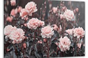 Картина на стену в гостиную/спальню Декор Карпаты 'Прекрасные розы' 60x100 см MK10218_M