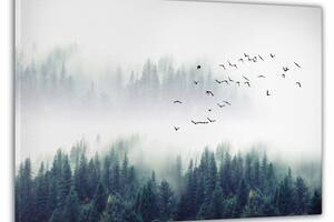 Картина на стену в гостиную/спальню Декор Карпаты 'Птицы над туманным лесом' 60x100 см MK10210_M