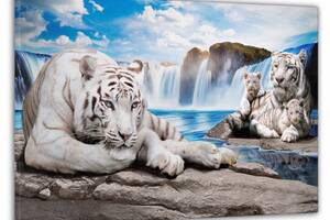 Картина на стену в гостиную/спальню Декор Карпаты 'Семейство тигров' 60x100 см MK10086_M