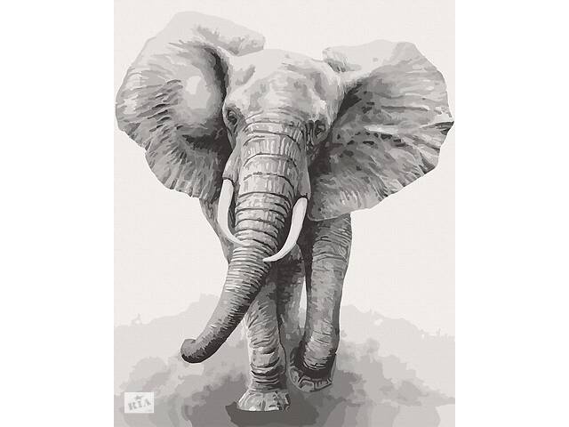 Картина за номерами. Art Craft 'Африканський слон' 40х50 см 11629-AC