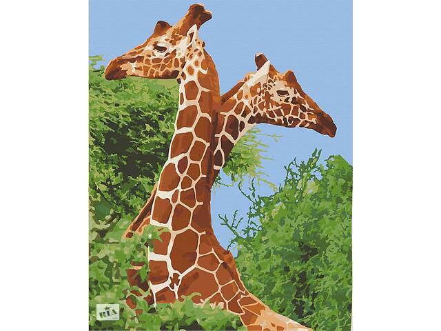 Картина за номерами. Art Craft Пара жирафів 40х50 см 11613-AC
