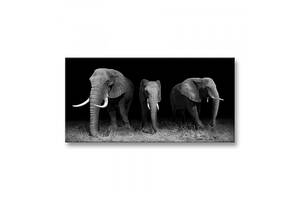 Картина Три Слони Malevich Store 50x100 см (K0042)
