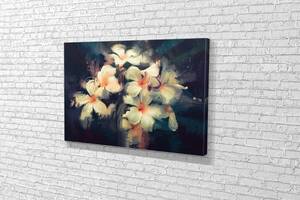 Картина у вітальню спальню для інтер'єру Букет білих квітів KIL Art 51x34 см (640)