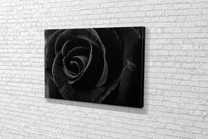 Картина у вітальню спальню для інтер'єру Чорна троянда KIL Art 81x54 см (516)