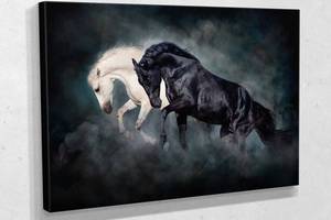 Картина в гостиную спальню для интерьера Чёрная и белая лошади KIL Art 51x34 см (411)