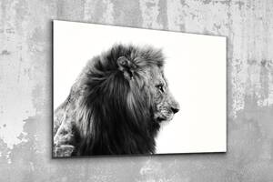 Картина в гостиную спальню для интерьера Чёрно-белый лев KIL Art 51x34 см (518)
