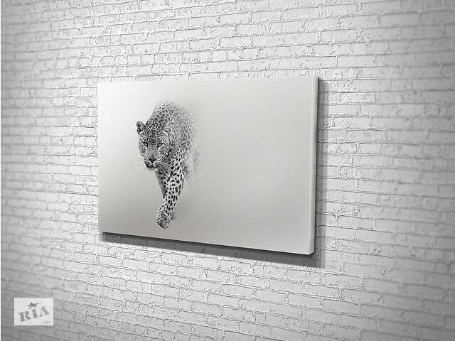 Картина у вітальню спальню для інтер'єру Чорно-білий ягуар KILL Art 122x81 см (528)