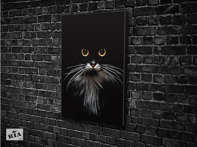 Картина в гостиную спальню для интерьера Чёрный кот KIL Art 81x54 см (540)