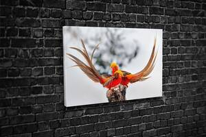 Картина у вітальню спальню для інтер'єру Дві яскраві птахи KIL Art 81x54 см (521)