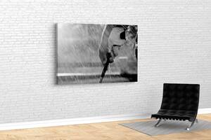 Картина у вітальню спальню для інтер'єру Гольф під дощем KIL Art 122x81 см (476)