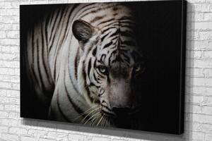 Картина у вітальню спальню для інтер'єру Сумний тигр KIL Art 81x54 см (580)