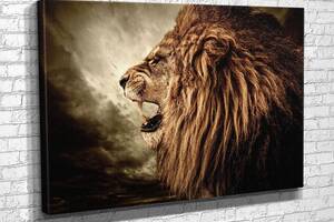 Картина в гостиную спальню для интерьера Король зверей лев KIL Art 122x81 см (448)