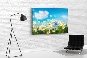 Картина у вітальню спальню для інтер'єру Красиві ромашки KIL Art 51x34 см (675)