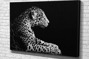 Картина в гостиную спальню для интерьера Леопард в профиль KIL Art 81x54 см (575)