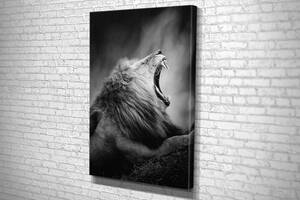 Картина в гостиную спальню для интерьера Могучий лев KIL Art 51x34 см (733)