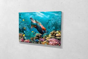 Картина у вітальню спальню для інтер'єру Морська черепаха KIL Art 81x54 см (526)