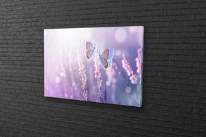Картина в гостиную спальню для интерьера Пара бабочек KIL Art 81x54 см (523)