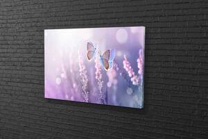 Картина у вітальню спальню для інтер'єру Пара метеликів KIL Art 122x81 см (523)