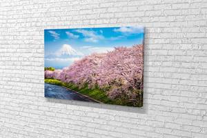 Картина в гостиную спальню для интерьера Сакура возле вулкана KIL Art 81x54 см (706)