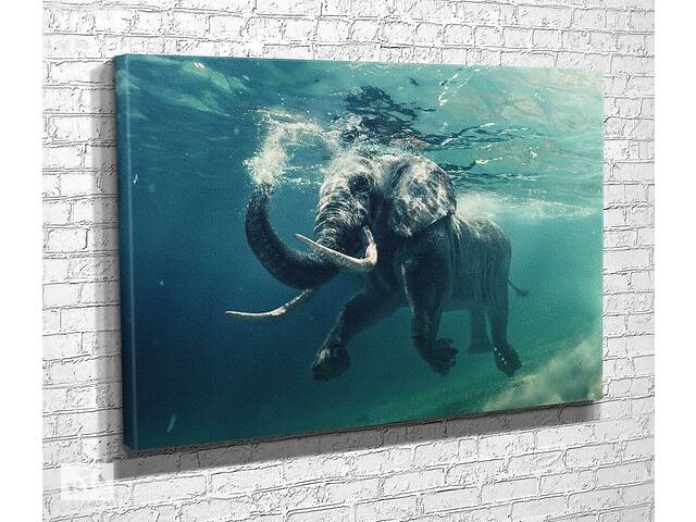 Картина в гостиную спальню для интерьера Слон в воде KIL Art 122x81 см (726)