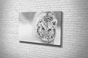 Картина у вітальню спальню для інтер'єру Сніжний тигр KIL Art 122x81 см (543)