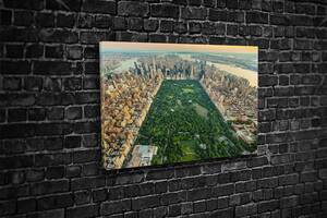 Картина у вітальню спальню для інтер'єру Центральний парк Нью-Йорка KIL Art 81x54 см (527)