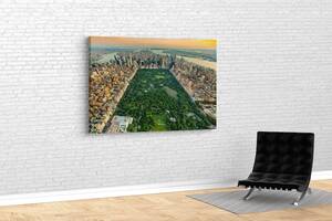 Картина у вітальню спальню для інтер'єру Центральний парк Нью-Йорка KIL Art 51x34 см (527)