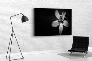 Картина у вітальню спальню для інтер'єру Квітка на чорному тлі KIL Art 81x54 см (659)