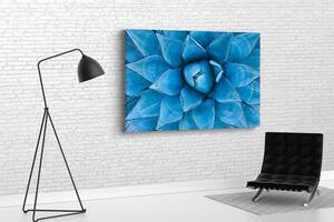 Картина у вітальню спальню для інтер'єру Квітка сукулент з блакитними пелюстками KIL Art 81x54 см (660)