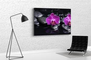 Картина у вітальню спальню для інтер'єру Квіти орхідеї KIL Art 81x54 см (572)