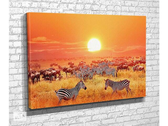 Картина в гостиную спальню для интерьера Зебры и антилопы в саванне KIL Art 81x54 см (732)