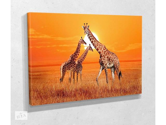 Картина в гостиную спальню для интерьера Жирафы на закате KIL Art 81x54 см (718)