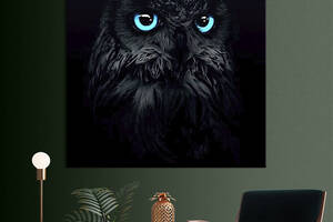 Картина в офис KIL Art Чёрная сова с голубыми глазами 80х80 см (1art_11)