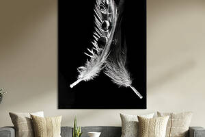 Картина в офис KIL Art Два белых пера на чёрном фоне 120x80 см (2art_309)