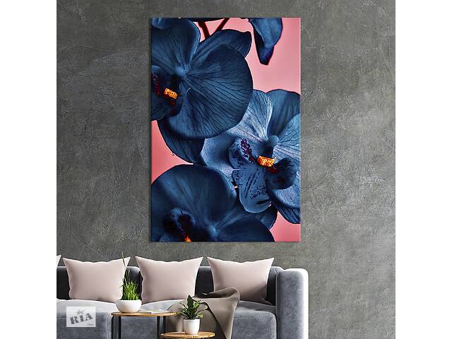 Картина в офис KIL Art Прекрасные синие орхидеи 51x34 см (2art_293)