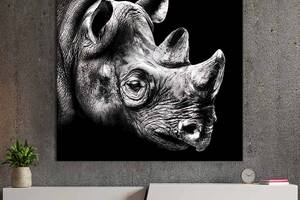 Картина в офис KIL Art Задумчивый африканский носорог 80х80 см (1art_96)