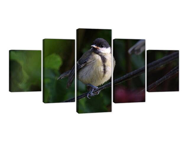 Картина из 5 частей на холсте KIL Art Маленькая птица Горихвостка 187x94 см (m52_XL_34)