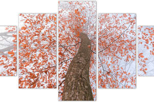 Картина из 5 частей на холсте KIL Art Осеннее дерево с оранжевыми листьями в тумане вид снизу 162x80 см (m52_L_38)