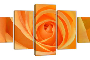 Картина из 5 частей на холсте KIL Art Ярко-оранжевая роза Super Trouper 112x54 см (m52_M_18)